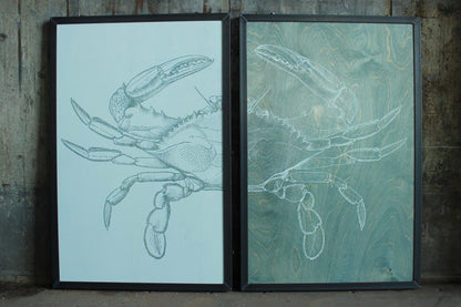 Crab Diptych 24x36 ea. (4 Color Options)