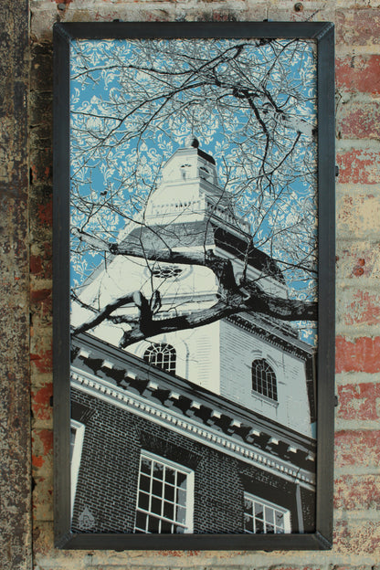 Maryland Statehouse Dome, Annapolis, MD 15x30
