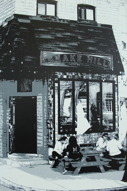 Snake Hill, Baltimore, MD 15x30