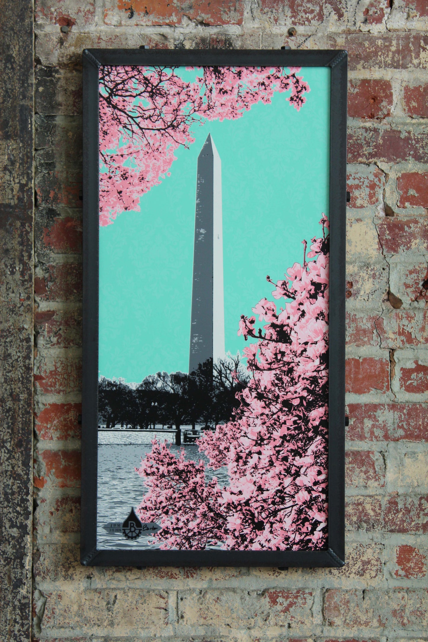 Springtime at the Washington DC Monument 15x30